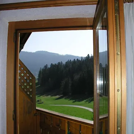 Ferienwohnungen Pension Sonnblick Krumbach  Room photo